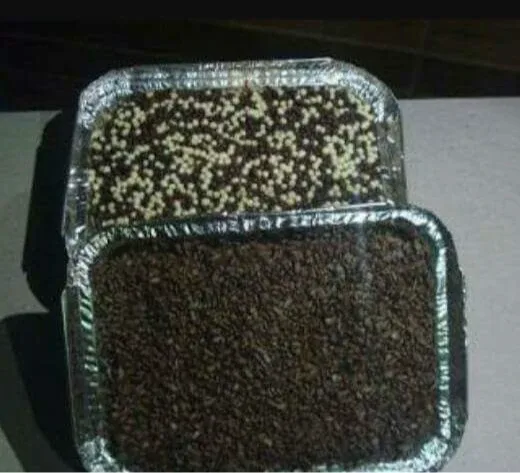 Brownies @Sr.Sra.Brownies — foto 8 de 10