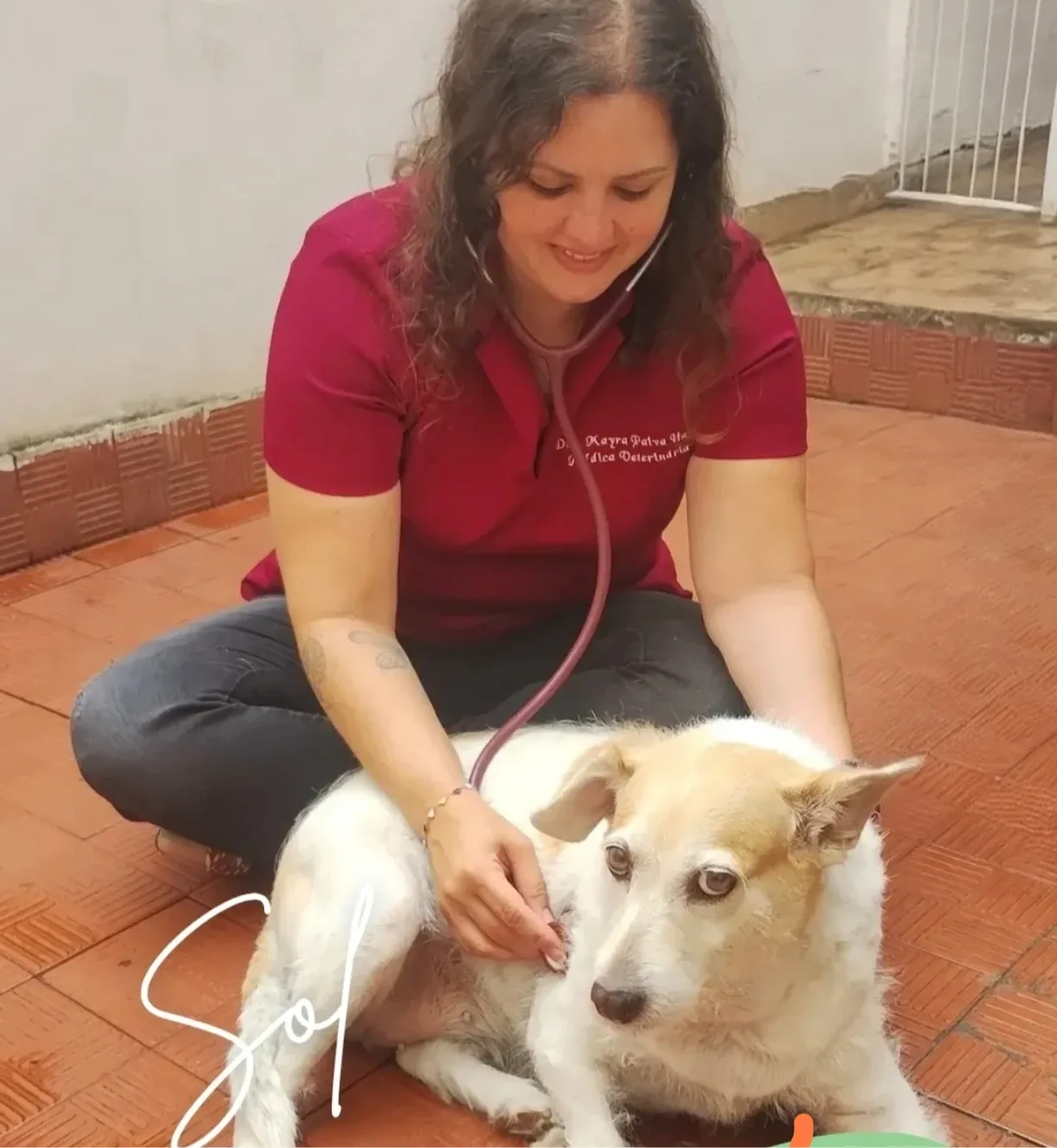 Veterinária em Domicílio — foto 1 de 4