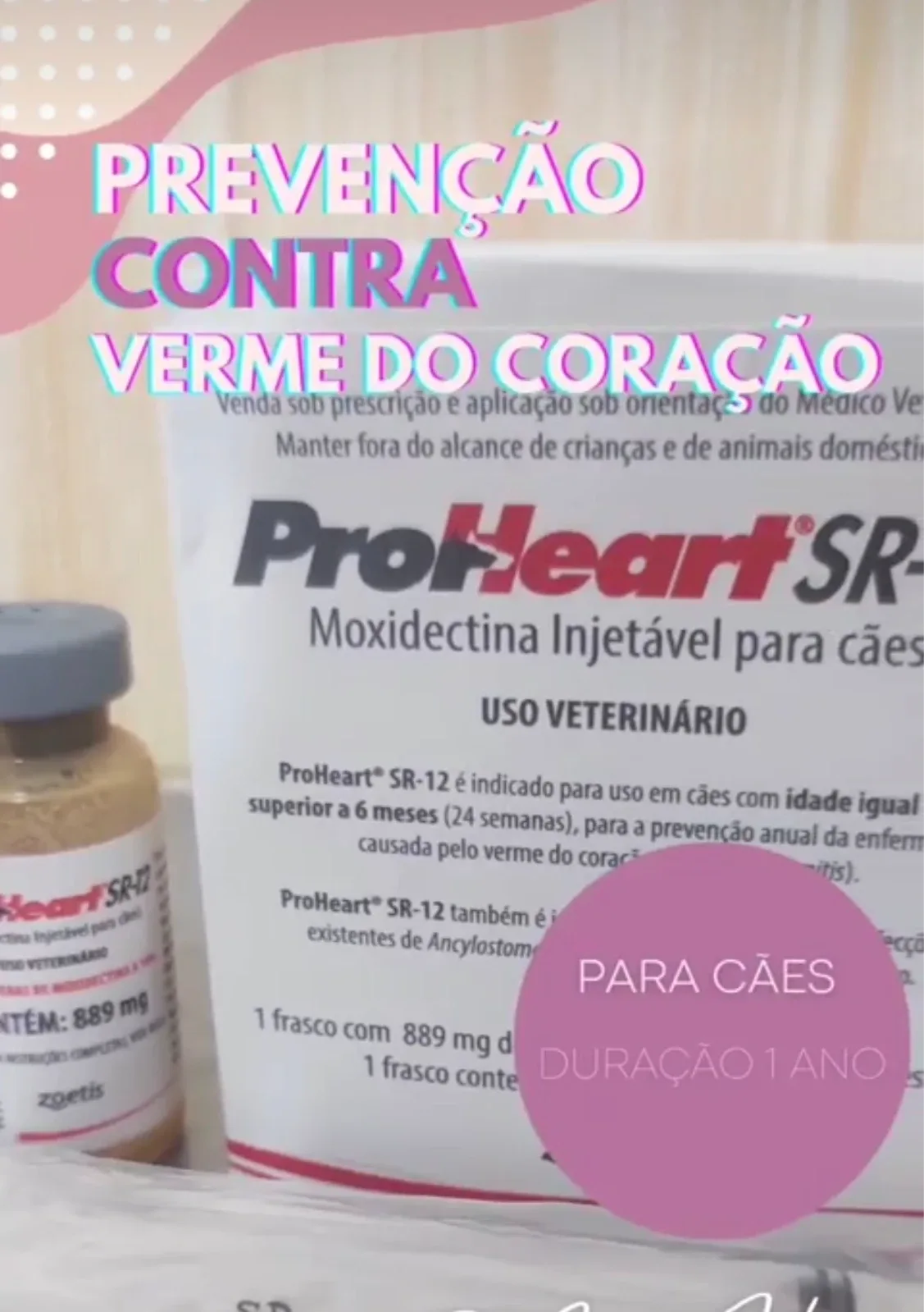 Veterinária em Domicílio — foto 3 de 4